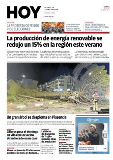 UN GRAN ÁRBOL SE DESPLOMA EN PLASENCIA