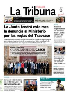 GUARDIANES DEL CASCO