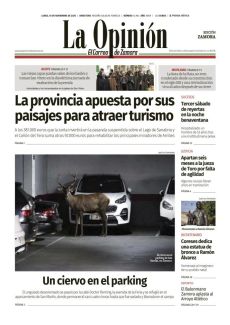 UN CIERVO EN EL PARKING