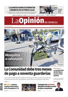 MOSQUITOS A CAÑONAZOS