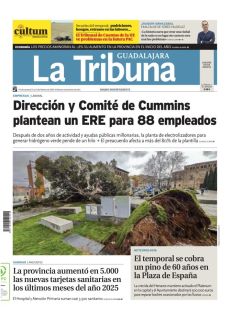 EL TEMPORAL SE COBRA UN PINO DE 60 AÑOS EN LA PLAZA DE ESPAÑA